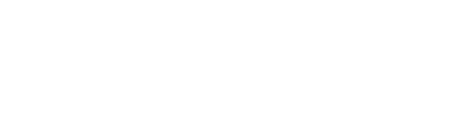 BOSS Investimentos